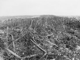 Réseaux de fils de fer barbelés.